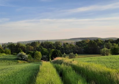 działka na sprzedaż - Słomniki (gw), Brończyce