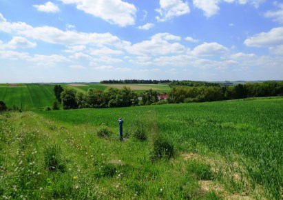 działka na sprzedaż - Iwanowice, Władysław