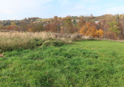 działka na sprzedaż - Krzeszowice, Paczółtowice
