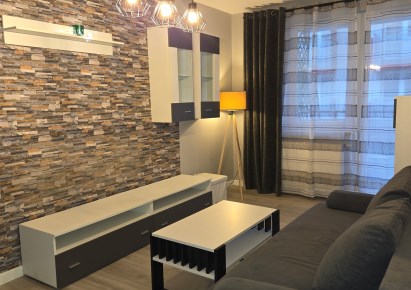 mieszkanie na wynajem - Kraków, Prądnik Czerwony