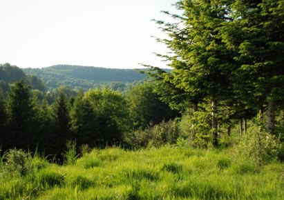 działka na sprzedaż - Maków Podhalański