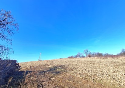 działka na sprzedaż - Michałowice (gw), Michałowice