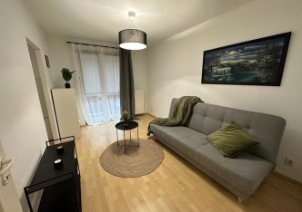 mieszkanie na wynajem - Kraków, Dębniki