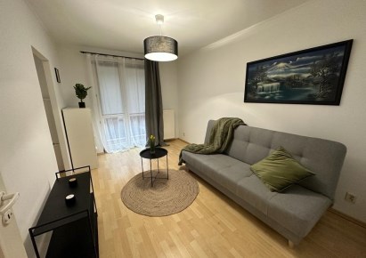 mieszkanie na wynajem - Kraków, Dębniki