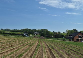 działka na sprzedaż - Michałowice