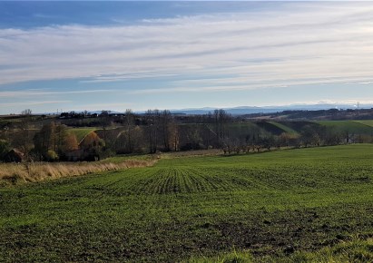 działka na sprzedaż - Michałowice